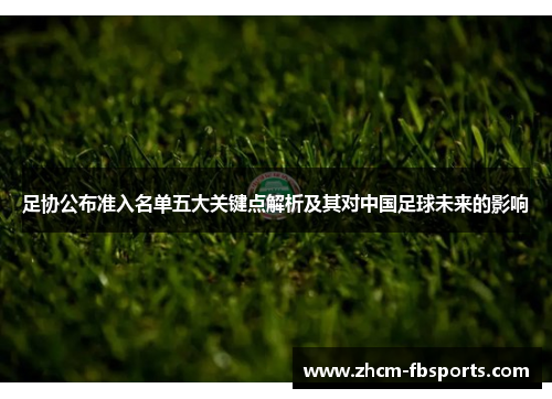 足协公布准入名单五大关键点解析及其对中国足球未来的影响